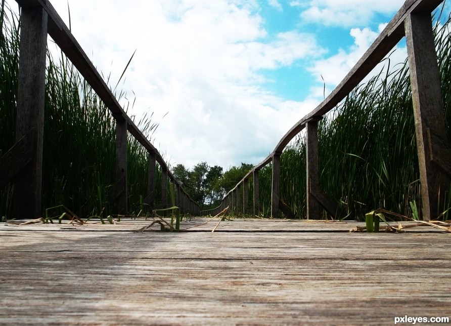 walkway on the river