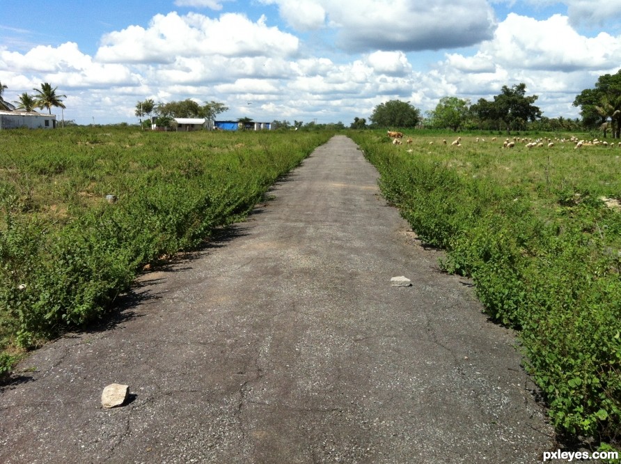 The Road to the Clouds..