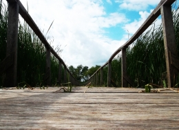 walkway on the river