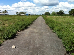 The Road to the Clouds..