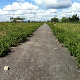 The Road to the Clouds.. Picture