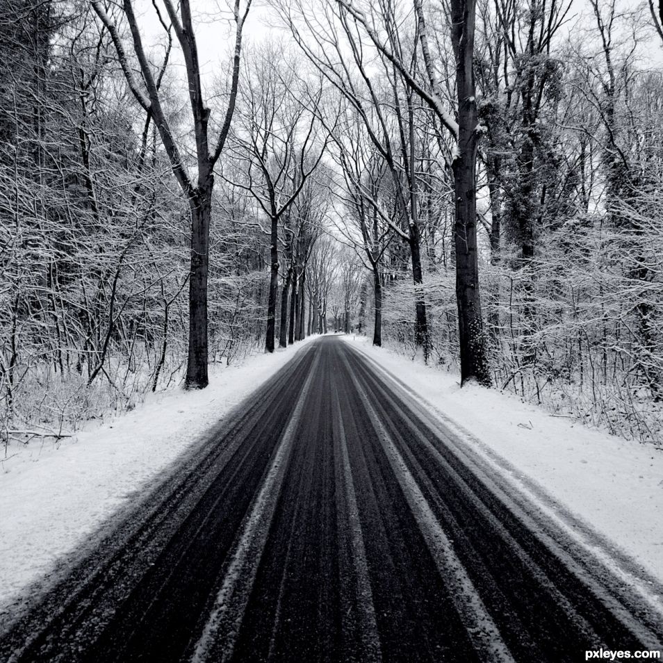 Winter road