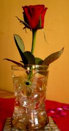 V-Day Rose in a glass vase