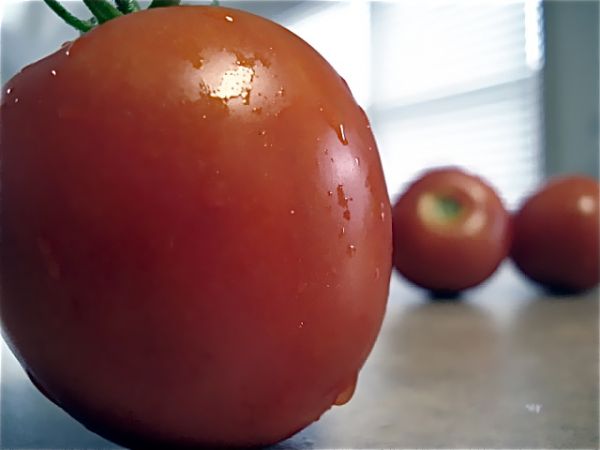 Tomatoe