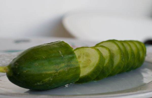 Cucumber