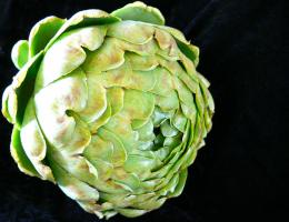 Artichoke