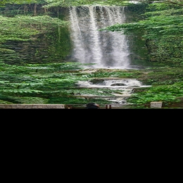 Waterfall  Picture