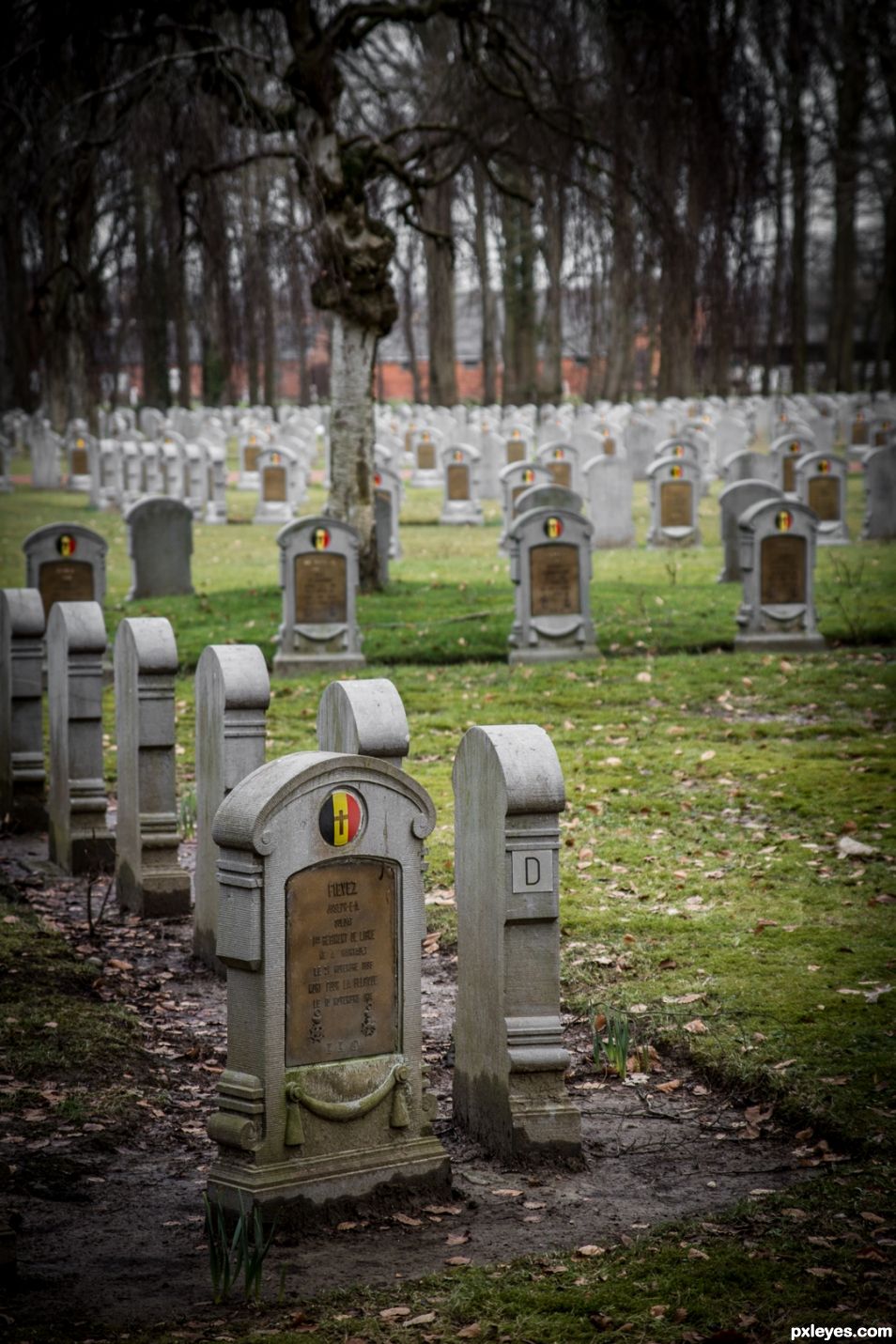 Military cementery