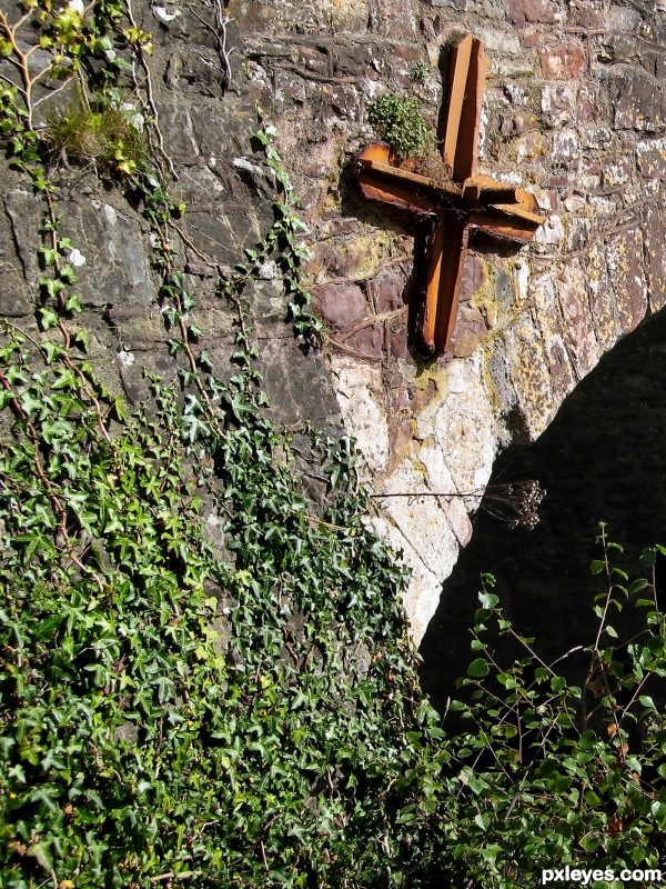 Ivy Bridge