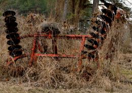 Overgrown