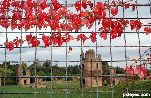 Circus of Maxentius