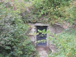 Fair Lane Root Cellar