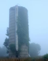 Silo in Fog