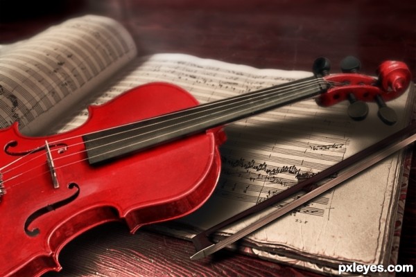 Violin