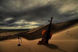 Musical Desert