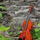 violin source image