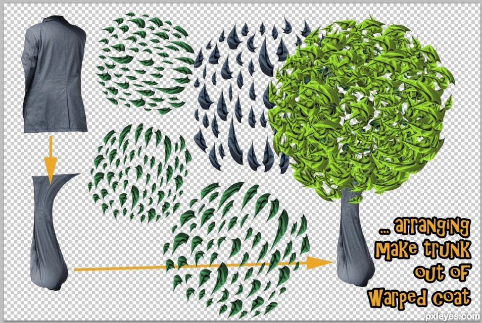 Creation of Umbrella Tree: Step 8