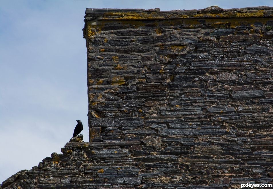 Chimney wall and the crow