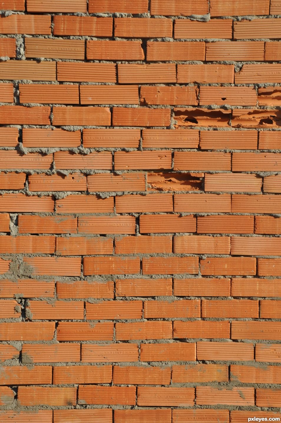 Bricks on the wall