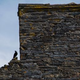 Chimneywallandthecrow