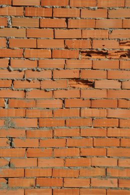 Bricks on the wall