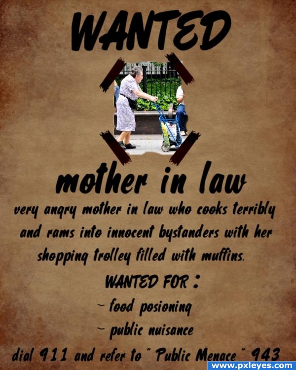 wanted : mother in law