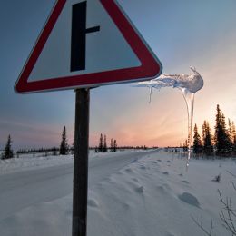 IcicleSign