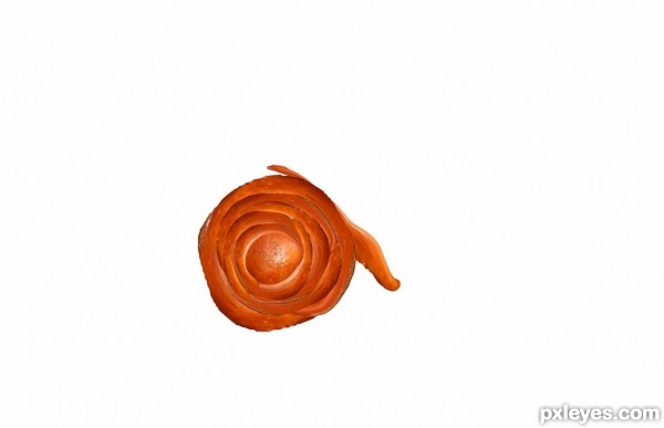 Creation of Slug love: Step 4