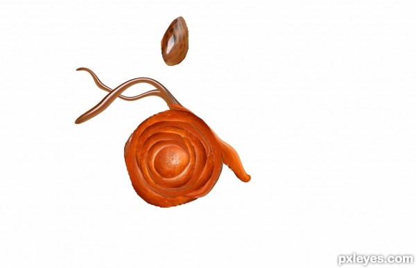 Creation of Slug love: Step 5