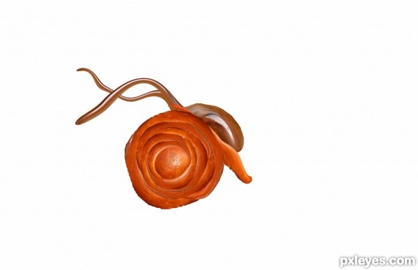 Creation of Slug love: Step 6