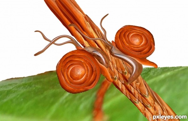 Creation of Slug love: Step 10