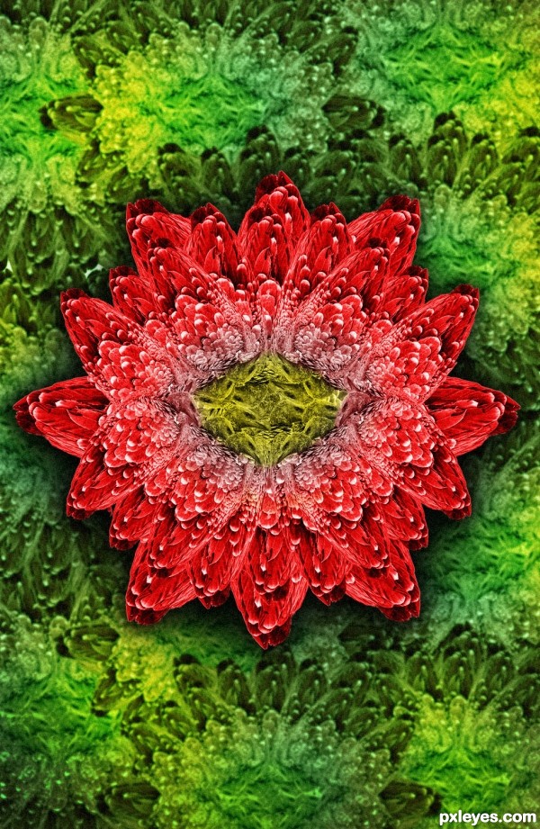 Red Flower