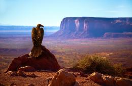 Golden Desert Eagle Picture