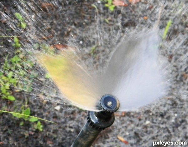 Butterfly Waterspray