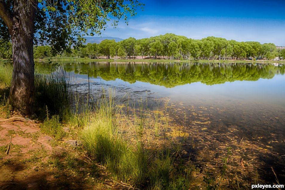 Cottonwood Pond