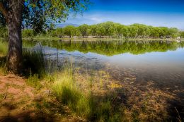 Cottonwood Pond