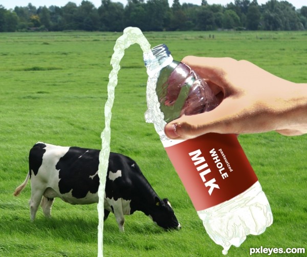 Creation of Milk ad: Final Result