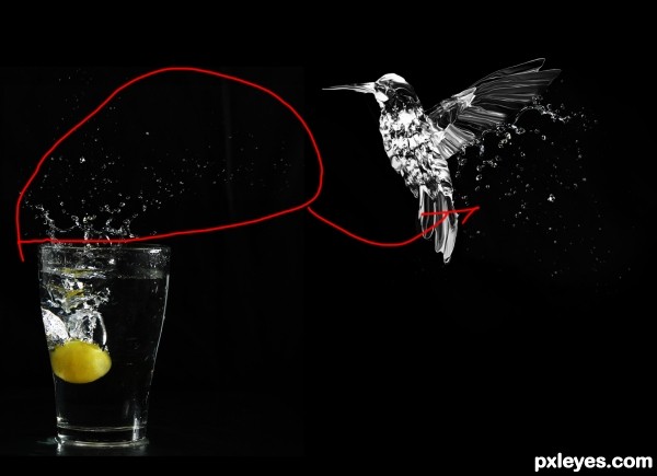 Creation of Hummingbird: Step 2