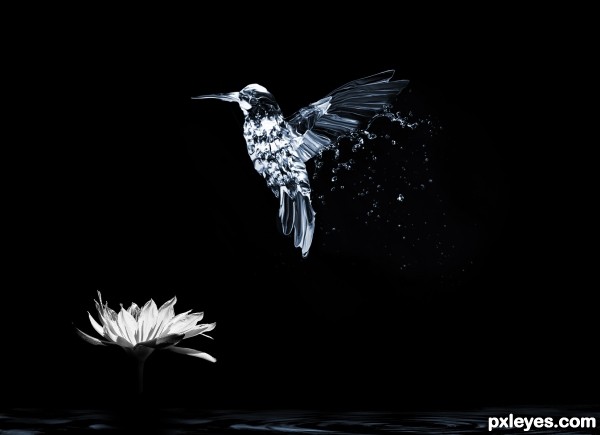 Creation of Hummingbird: Step 3