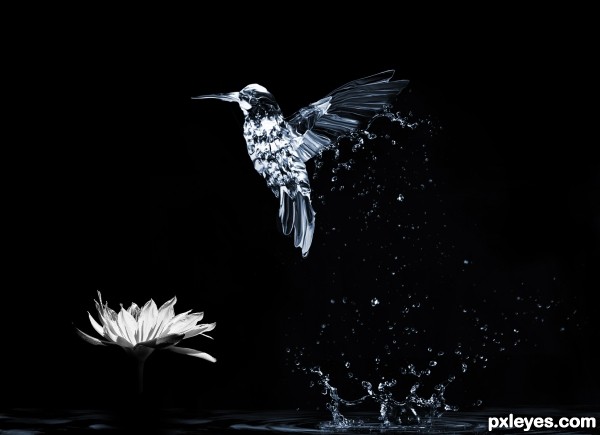 Creation of Hummingbird: Step 4