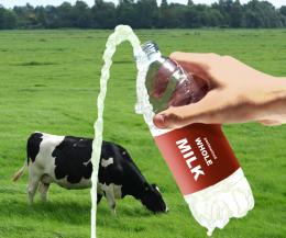 Milkad