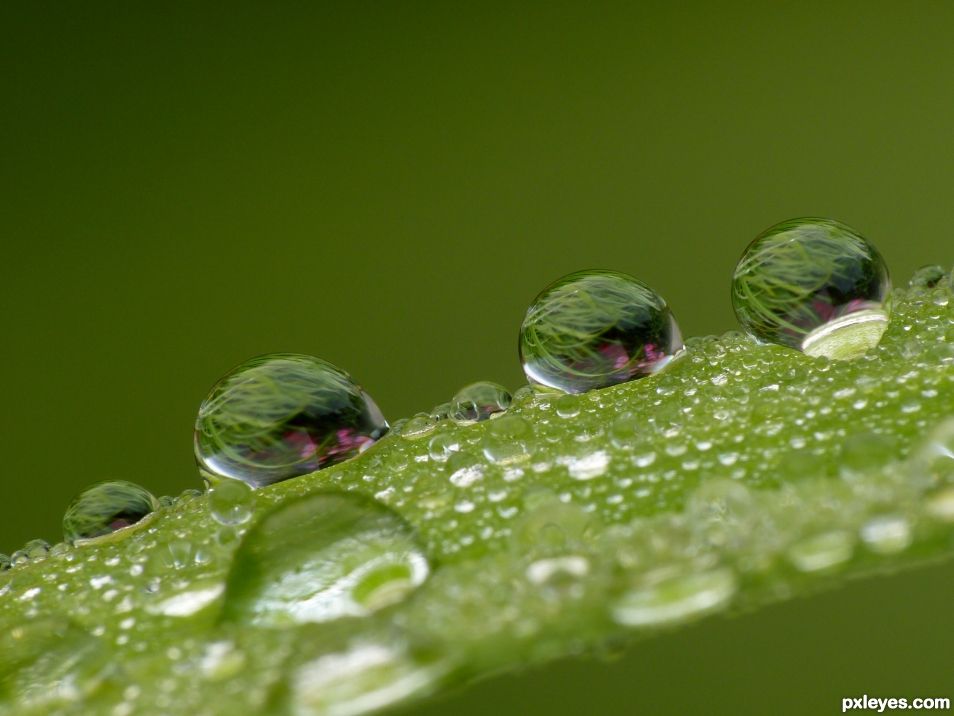 Water drops