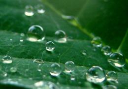 water crystals