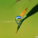 water droplets 4 photography contest