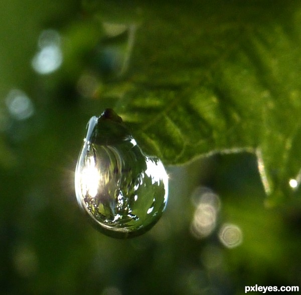 sun in the raindrop