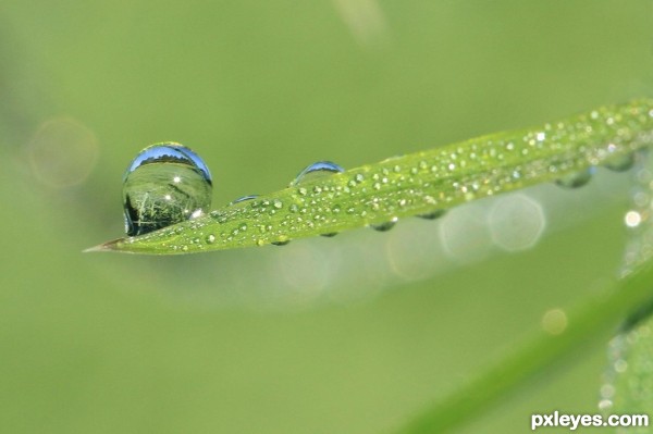 water droplet