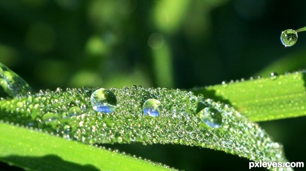 water droplets..