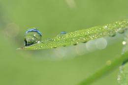 water droplet