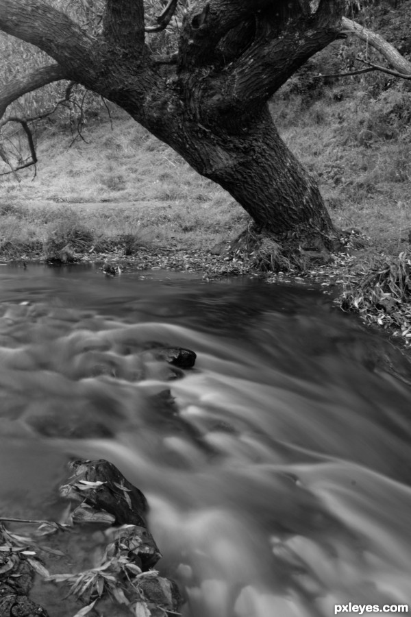 Flowing River