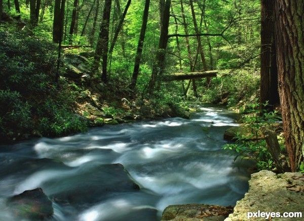 Rocky Gap Run